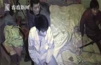泰迪被邻居砸死 狗主持“冲锋枪”上门逼写7万欠条