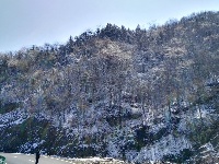 大洪山再降雪 呈“樱花雪约”景观 