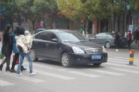 【聚焦】文明出行，你做到了吗？