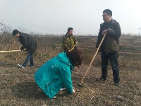 植树节我们在行动|随州广播电视台组织员工义务植树