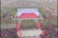 记者观察：桃花节带来的“花”经济