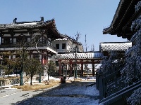 大洪山再降雪 呈“樱花雪约”景观 