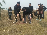 植树节我们在行动|随州广播电视台组织员工义务植树