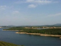 随州大洪山云雾山琵琶湖探茶