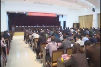 我市安排部署寻根节嘉宾方阵和履职尽责管理工作