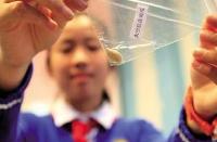 “神奇”太空种子落户炎帝故里