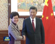 习近平会见林郑月娥