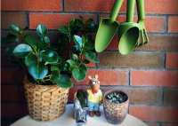 一位90后的姑娘把生活活成了诗