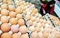 鸡蛋价格进入“2元”时代 “火箭蛋”缘何风光不再