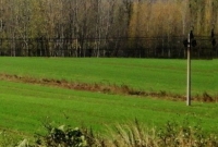 我市推进土地例行督察自查整改