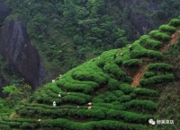 五一就去随北的草店镇！为啥，自己看——