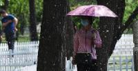 杨柳絮漫天飞 专家支招如何防范“四月雪”？