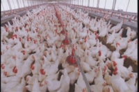 市农业局携手湖北正大开展新型职业农民培训