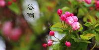 20日“谷雨”：暮春夏将至，养肝抑“春火”