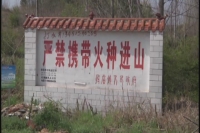 我市清明期间火情平稳