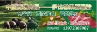 可以和网易未央猪相媲美的黑猪肉来随州啦！