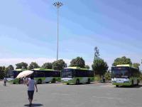 216路公交车乘坐不便？交通运输局这么回答！