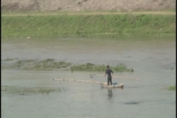 汛期白云湖湖水涨 电捕鱼陋习抬头
