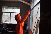 【惊险】随州一居民家中惊现蜂群 消防紧急出动除隐患！