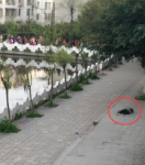 新华社三问泸县校园死亡事件：拿出事实需要多久 