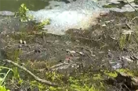 湖北部分地区养殖场排污遭村民投诉 监管部门不作为