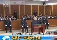 今天上午，内蒙古自治区政协原副主席赵黎平被执行死刑