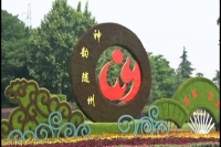 张灯结彩扮靓随城 喜迎寻根节 