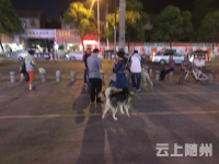 注意啦朋友，请保护好您的爱犬！