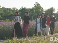 有试过在这么美丽的花海里品茶吗？