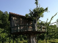 有试过在这么美丽的花海里品茶吗？