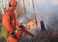 内蒙古大兴安岭突发森林火灾 火场面积约5000公顷