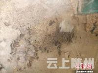 中储粮回应万吨小麦变质:已卖给企业 企业拒不出库