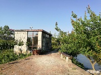 有试过在这么美丽的花海里品茶吗？