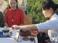 有试过在这么美丽的花海里品茶吗？