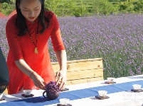 有试过在这么美丽的花海里品茶吗？