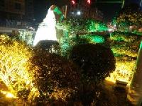 树木繁茂严重影响路灯照明，住建委这么回答！