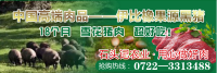 可以和网易未央猪相媲美的黑猪肉来随州啦！