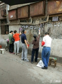 助力寻根节，铁树在行动