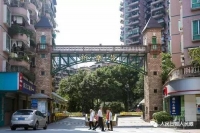 这个小区牛！业主自管，物业费十年没涨，还赚了五六百万