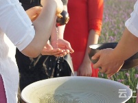 有试过在这么美丽的花海里品茶吗？