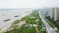 武汉最大江滩广场将落成 “雨水花园”不湿裤脚