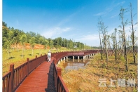 漂水湿地公园建成后将成为随州休闲观光的新亮点