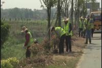 喜迎寻根节 扮靓寻根路
