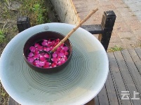 有试过在这么美丽的花海里品茶吗？