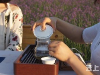 有试过在这么美丽的花海里品茶吗？