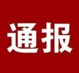 湖北通报3地13起典型案件