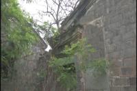 走进广水：探访特色古民居