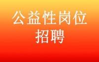 2017年随州市直公益性岗位招聘工作的公告