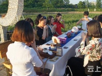 有试过在这么美丽的花海里品茶吗？