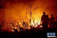 内蒙古大兴安岭森林火灾扑火兵力增至8365人